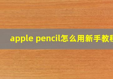 apple pencil怎么用新手教程